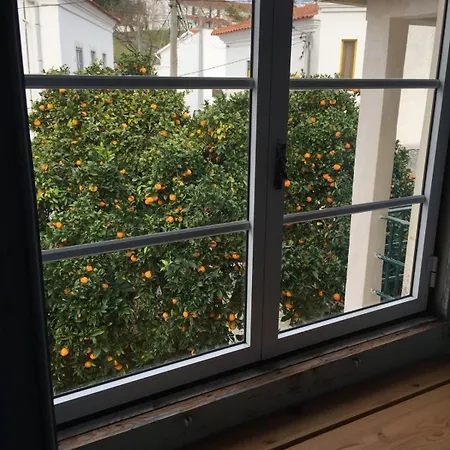 Orange Tree House, Silver Coast, Alcobaca, Nazare Ferienhaus