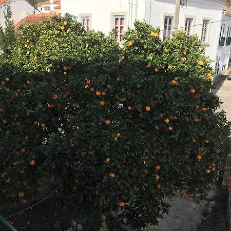 Orange Tree House, Silver Coast, Alcobaça, Nazaré Alpedriz