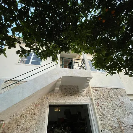 Orange Tree House, Silver Coast, Alcobaca, Nazare Ferienhaus