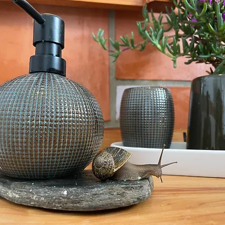 Ferienhaus Orange Tree House, Silver Coast, Alcobaca, Nazare Alpedriz