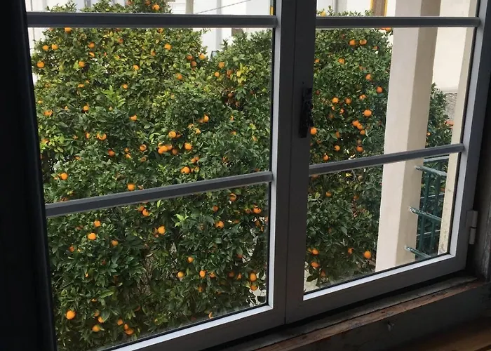 Orange Tree House, Silver Coast, Alcobaça, Nazaré Casa de Férias
