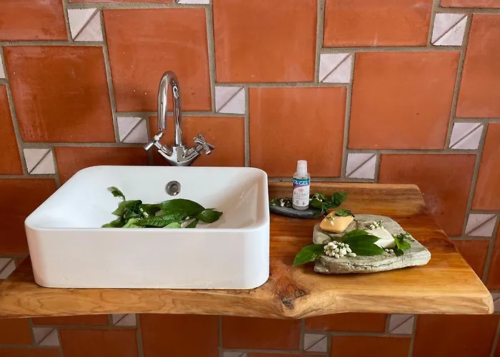 Orange Tree House, Silver Coast, Alcobaça, Nazaré