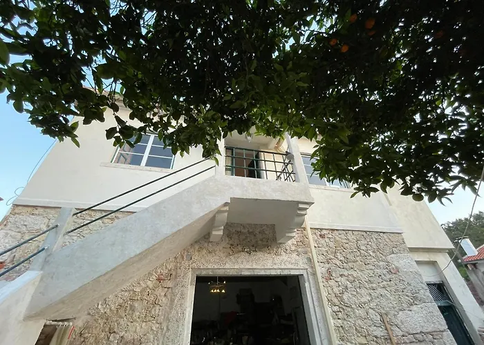 Orange Tree House, Silver Coast, Alcobaça, Nazaré Casa de Férias